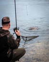 Fox EOS X Landing Net