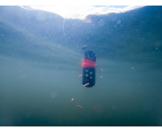 Korum Floating feeder