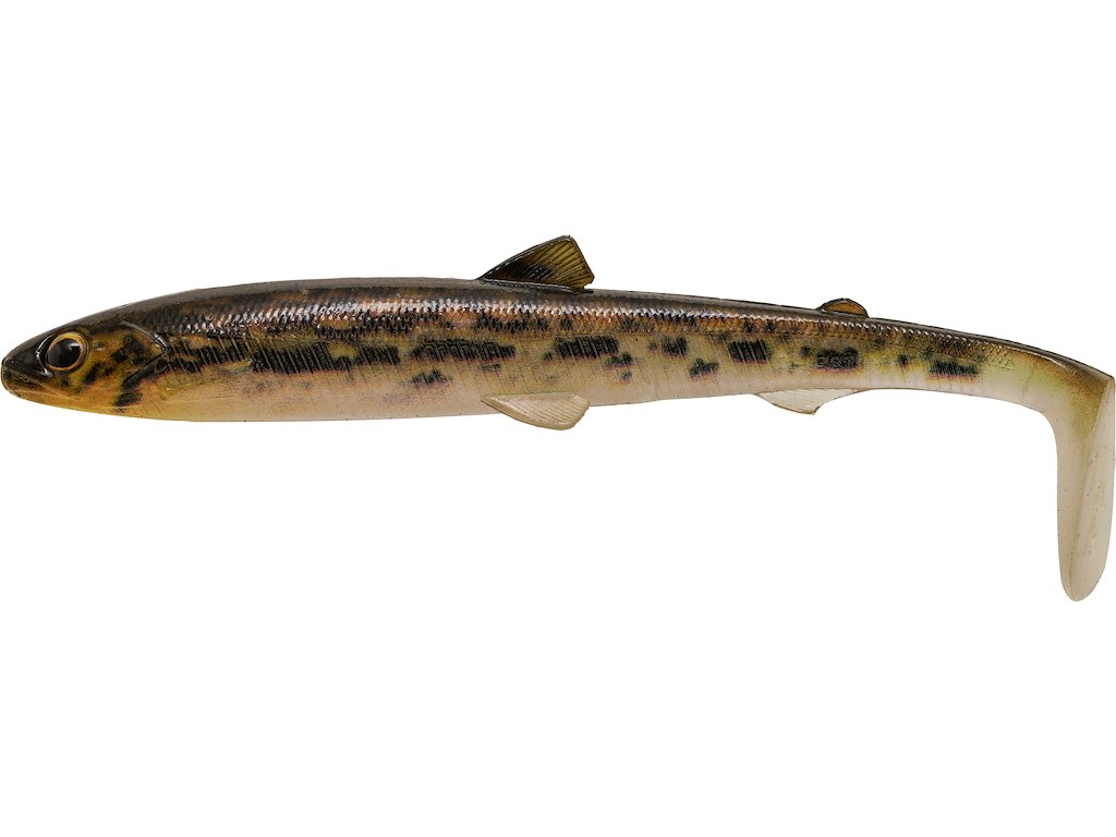 GIFT BOX TOON VAN HAMS FAVORITES