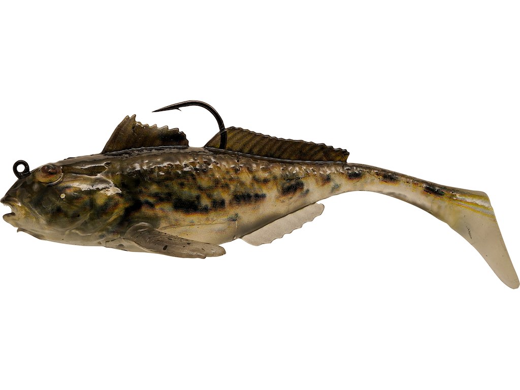 GIFT BOX TOON VAN HAMS FAVORITES