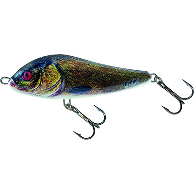 RN11S SUPERNATURAL Tench