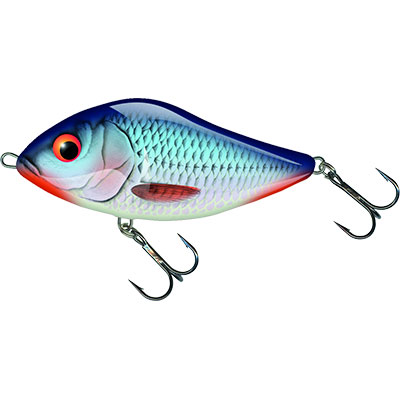 SD10S BLEEDING BLUE SHAD