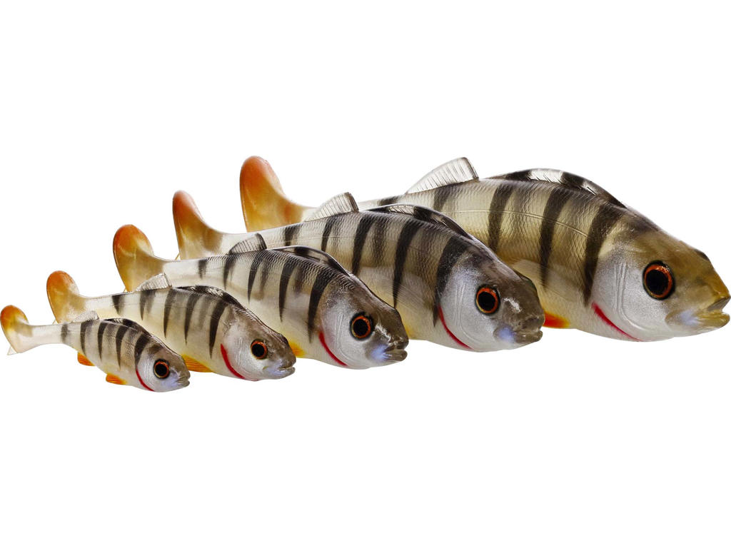 Original Perch Motoroil Perch 7cm