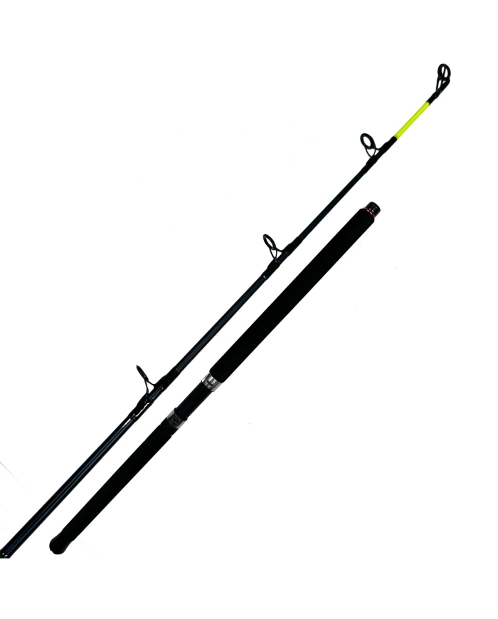 SEAHUNTER Z UPTIDE 9'6" 4-10OZ 2PC ROD