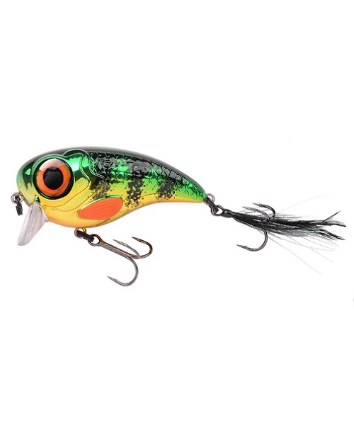 Fat Iris 80 Topwater Chrome Perch 8cm / 40g