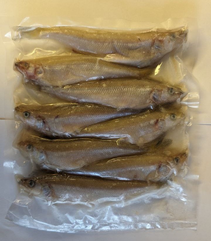 Smelt Deadbait