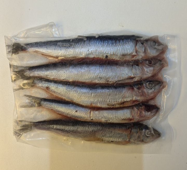 Sardines Deadbait (Click & Collect only!)