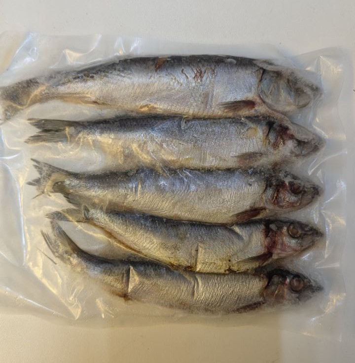 Herring Deadbait (Click & Collect only!)