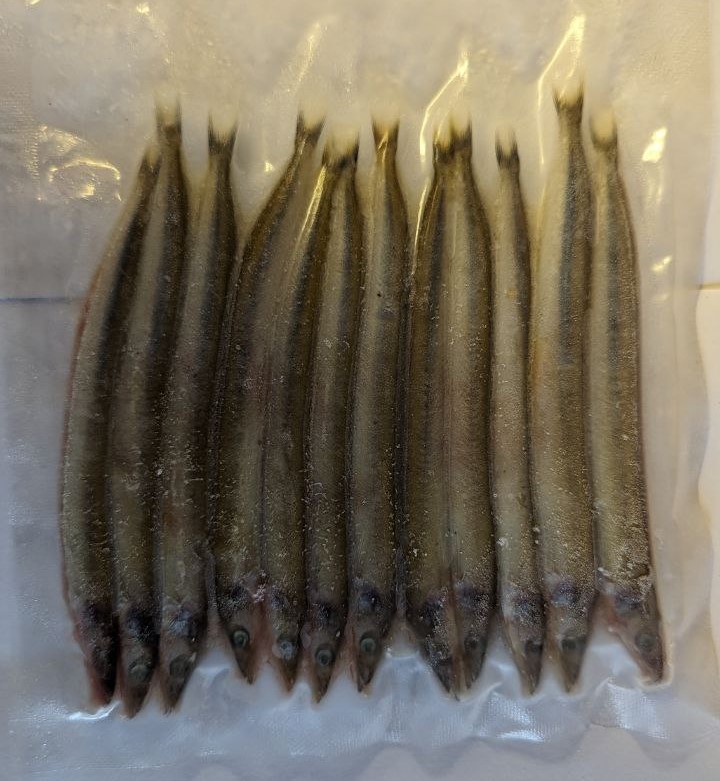 Sandeels Deadbait (Click & Collect only!)