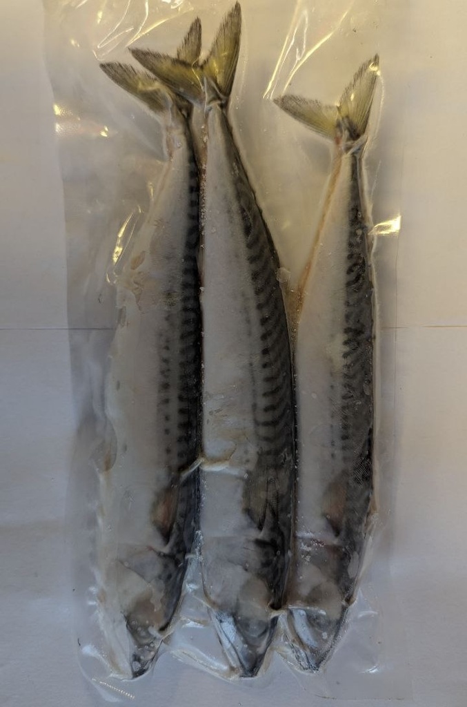 Mackerel Deadbait (Click & Collect only!)
