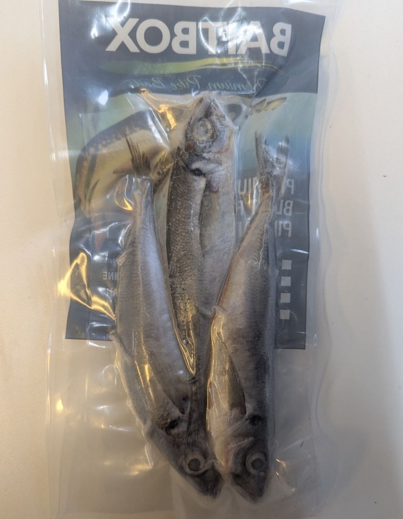 Scad Deadbait (Click & Collect only!)