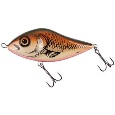 Salmo Limited Edition Slider 16cm Sinking Spawning Minnow