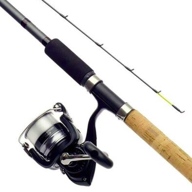 Daiwa Feeder combo