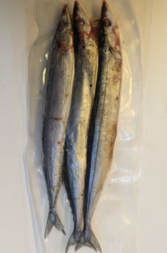 Bluies 3 pack Deadbait (Click & Collect only!)