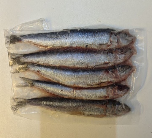 Sardines Deadbait (Click & Collect only!)