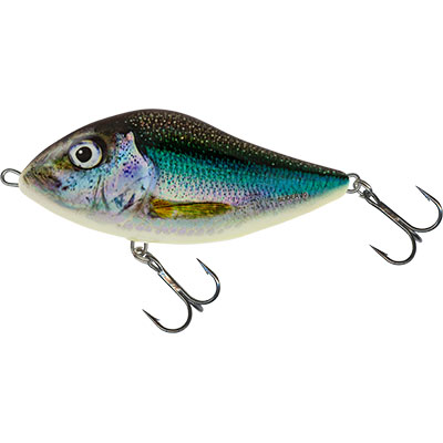 [QSD449] Slider Sinking 10 Holo Smelt