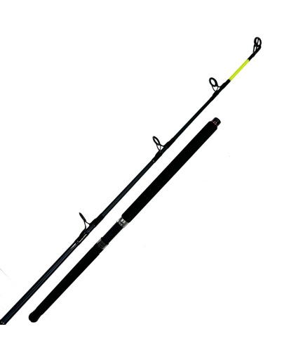 [DAI220646] SEAHUNTER Z UPTIDE 9'6" 4-10OZ 2PC ROD