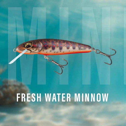 [QMW220] SALMO MINNOW FLOATING FRESHWATER MINNOW 5cm